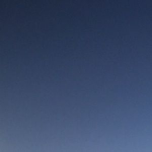 Meet your Posher, Hazel